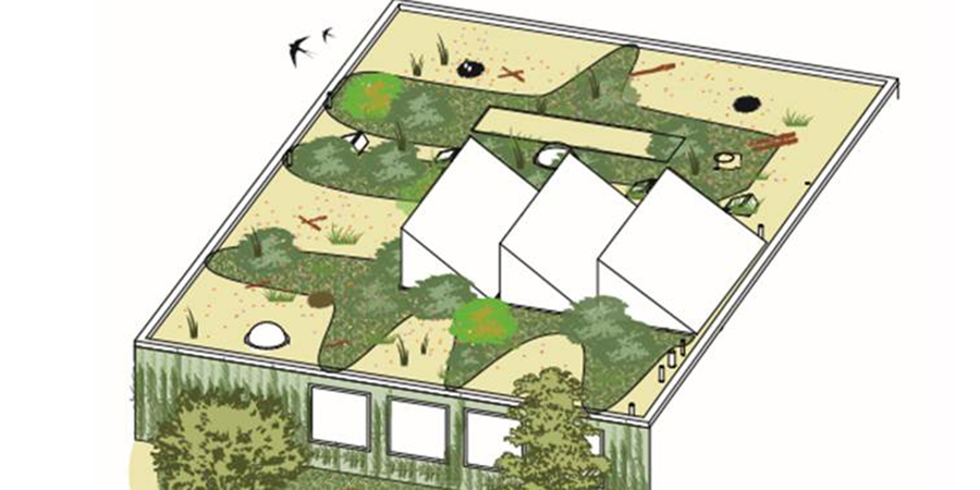 ontwerptekening van het natuurdak